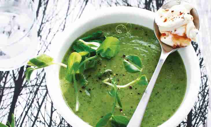 Ideal peas cream soup