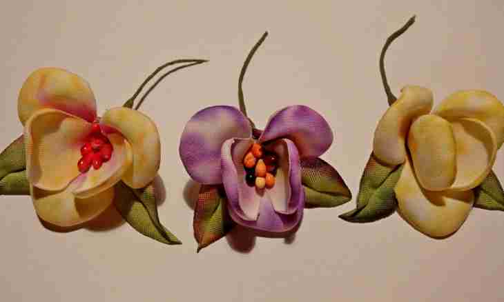 How to make an orchiThe orchid from mastic turns out so plausible that it isn't even believed in its artificial origin. Such flower will decorate cake, will perfectly look in a vase and will become an original gift.d of mastic?