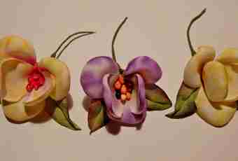 How to make an orchiThe orchid from mastic turns out so plausible that it isn't even believed in its artificial origin. Such flower will decorate cake, will perfectly look in a vase and will become an original gift.d of mastic?