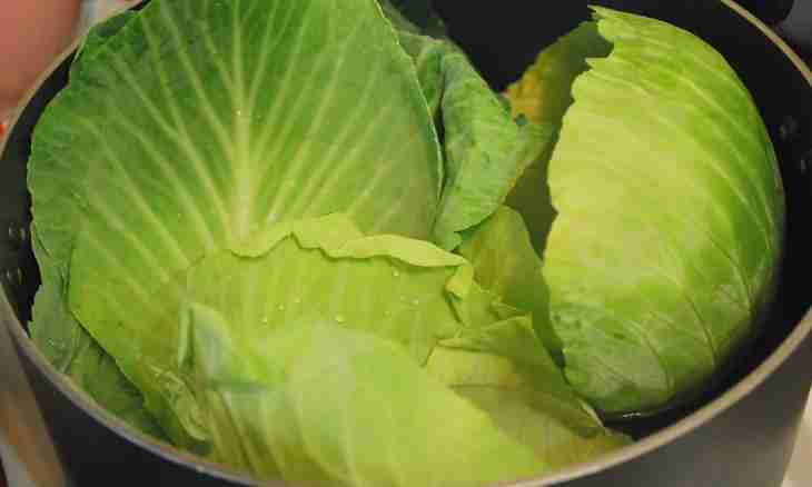 How to fry stuffed cabbage leaves