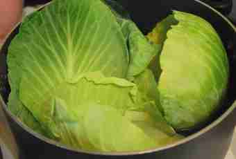 How to fry stuffed cabbage leaves