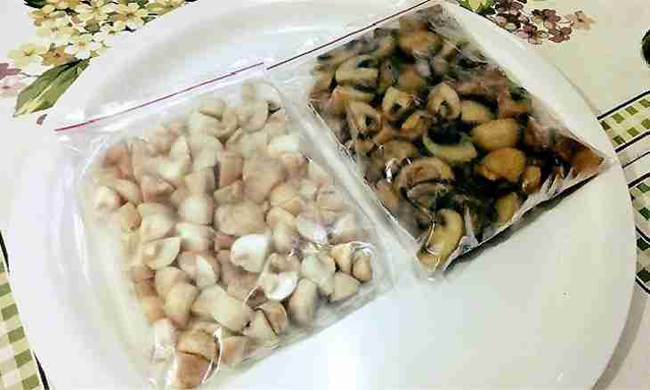 How to freeze mushrooms for the winter, having kept their aroma