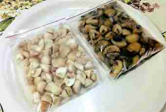 How to freeze mushrooms for the winter, having kept their aroma