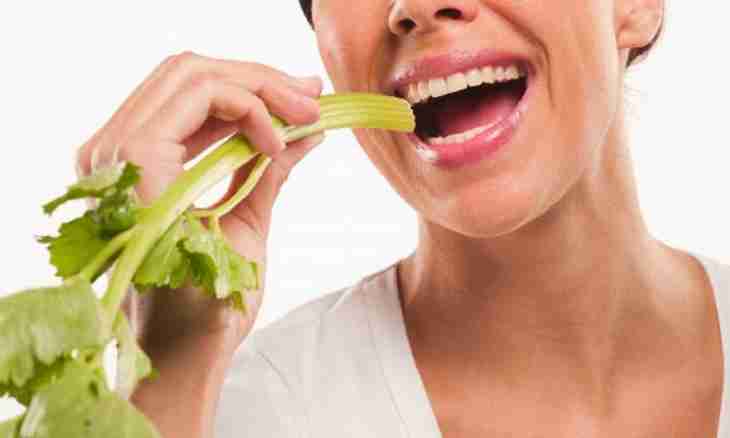 How to keep a celery