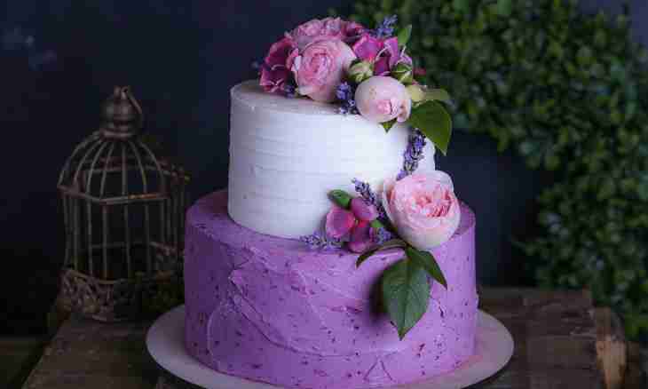 How to do cakes with culinary mastic