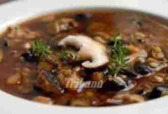 Dried mushrooms soup