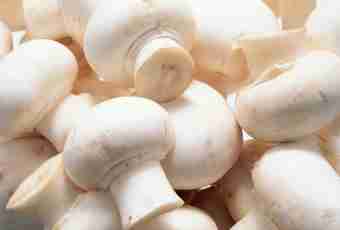 What to prepare from the white frozen mushrooms