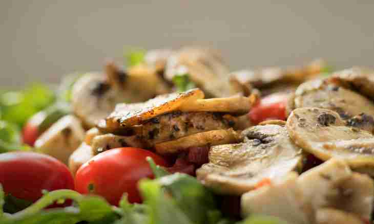 Juicy champignons and chicken salads
