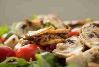 Juicy champignons and chicken salads