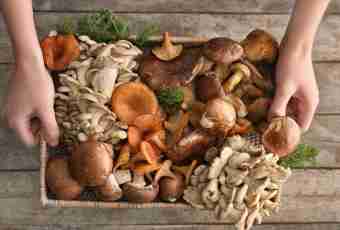 How to prepare wood mushrooms