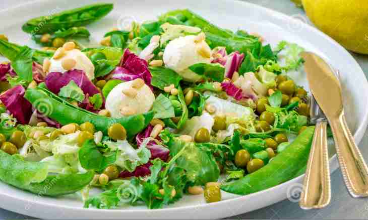 Recipes of salads with green peas