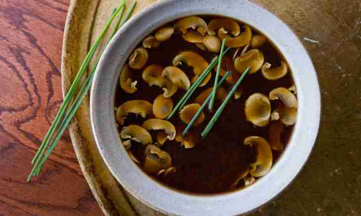 How to cook a mushroom soup from dried mushrooms