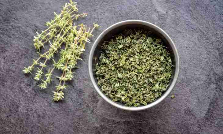 How to make a thyme