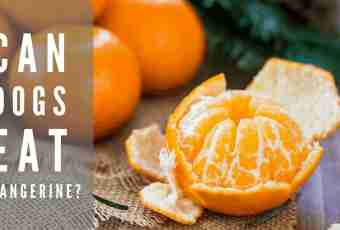 How to dry tangerines