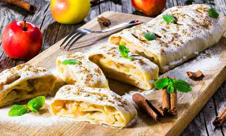 Apple strudel according to the recipe of the chef A. Seleznyov