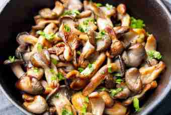 As it is correct to fry mushrooms