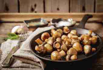 How to cook champignon mushrooms