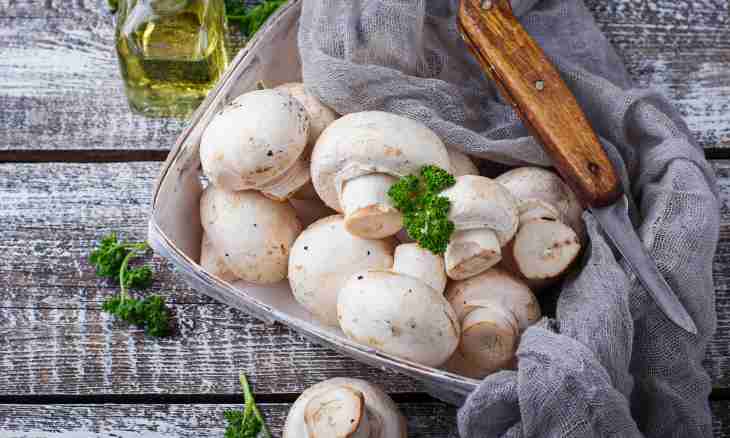How to cook crude champignons