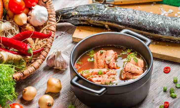 How to prepare fish in pots