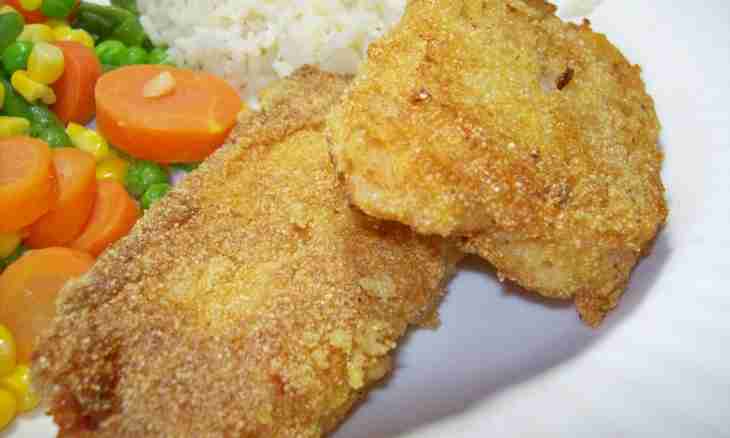 The recipe of a catfish in beer batter