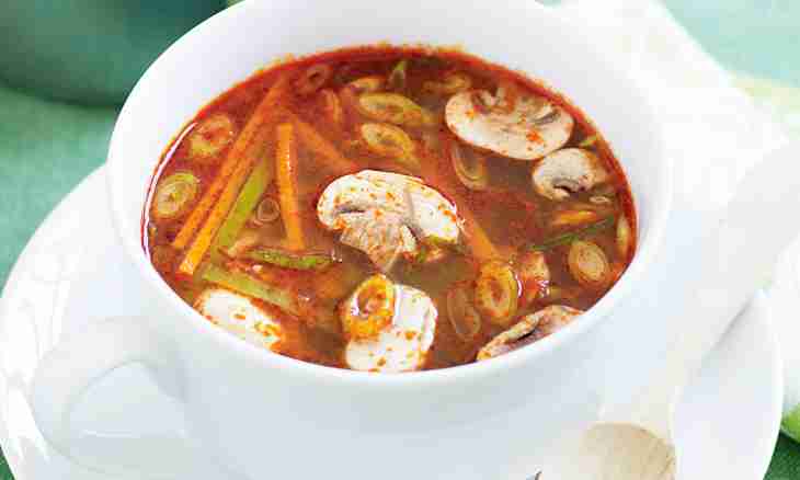 Soup from canned fishes - quickly and simply