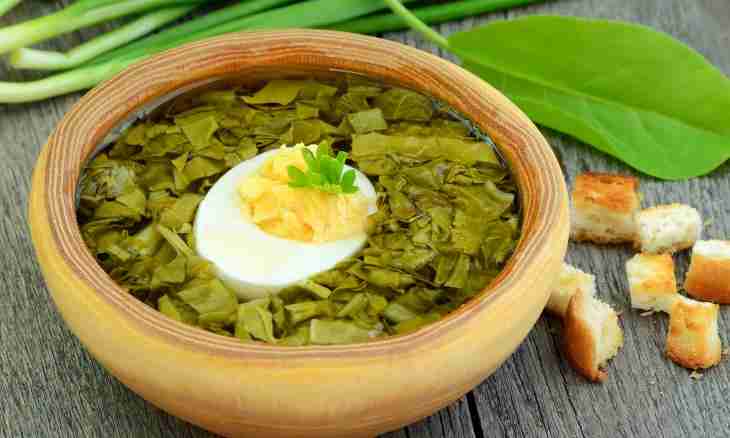 How to cook nettle and egg soup