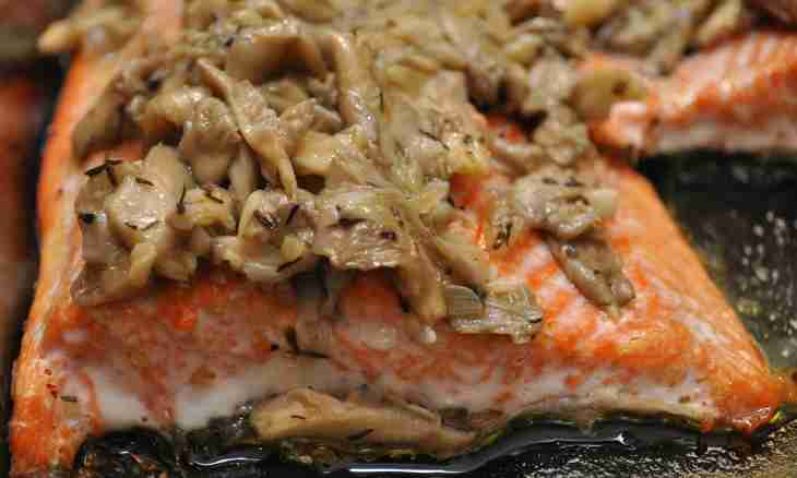 How to prepare a humpback salmon in the double boiler