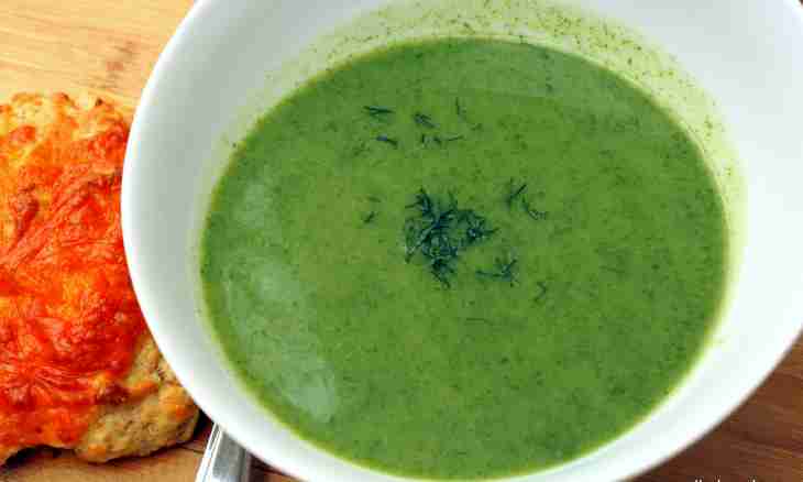 How to make a nettle soup