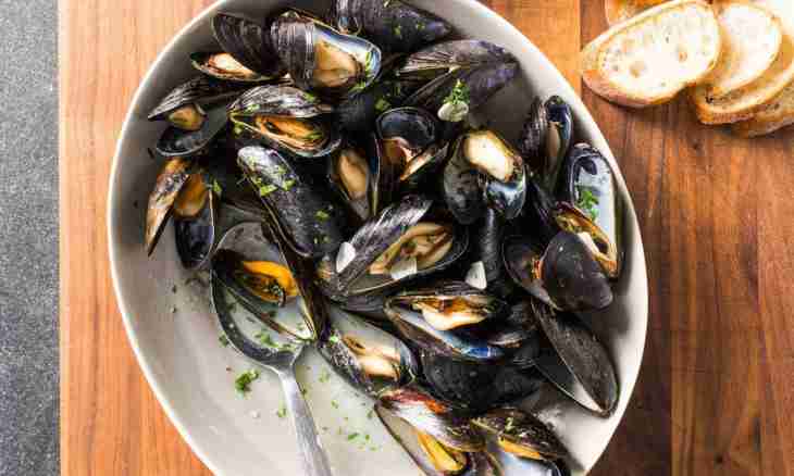 How to prepare mussels in a sink