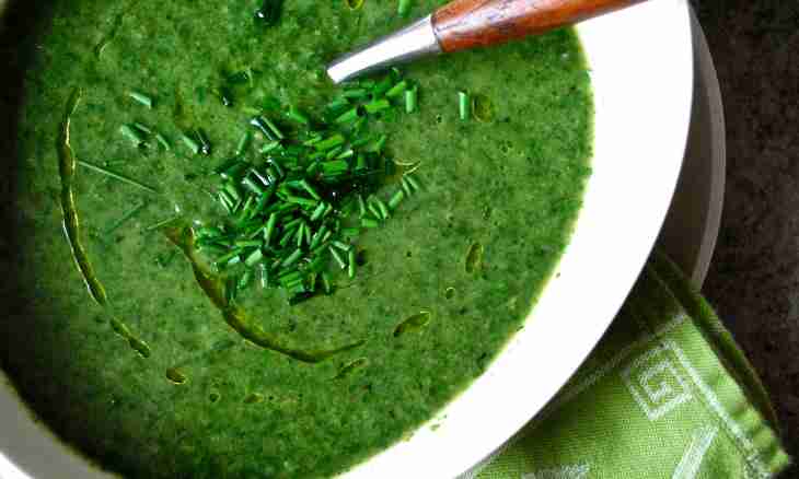 How to weld a spring nettle soup