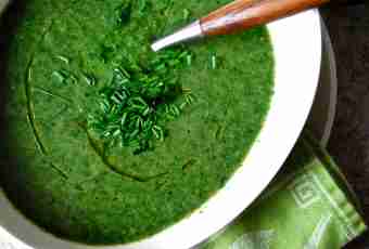 How to cook a useful nettle soup