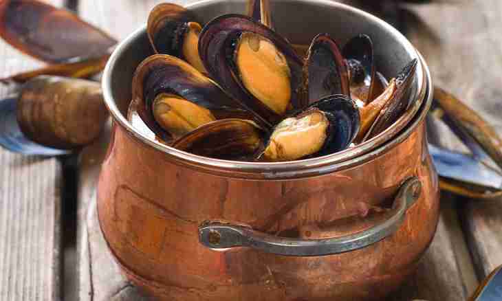 How to prepare mussels in an armor