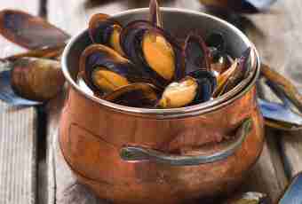 How to prepare mussels in an armor