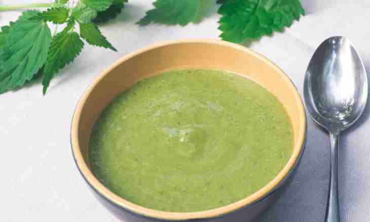 What dishes can be prepared from a nettle