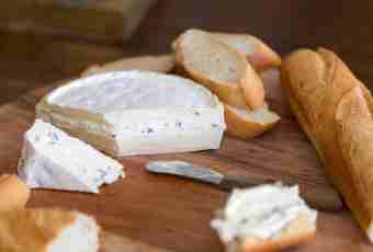 Recipes of morning toasts and sandwiches with a soft cheese of the Brie and Camembert types