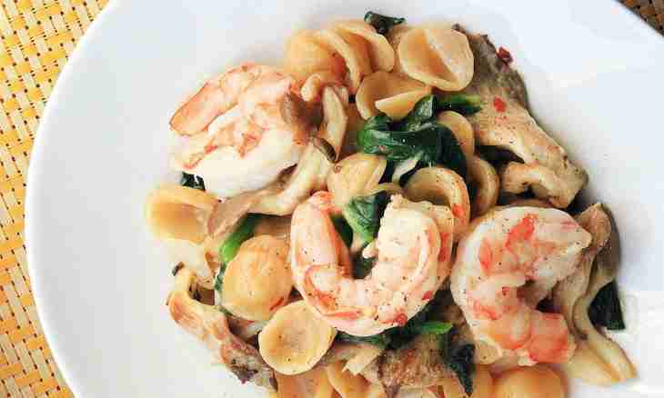 Shrimps with mushrooms in a cheese sauce
