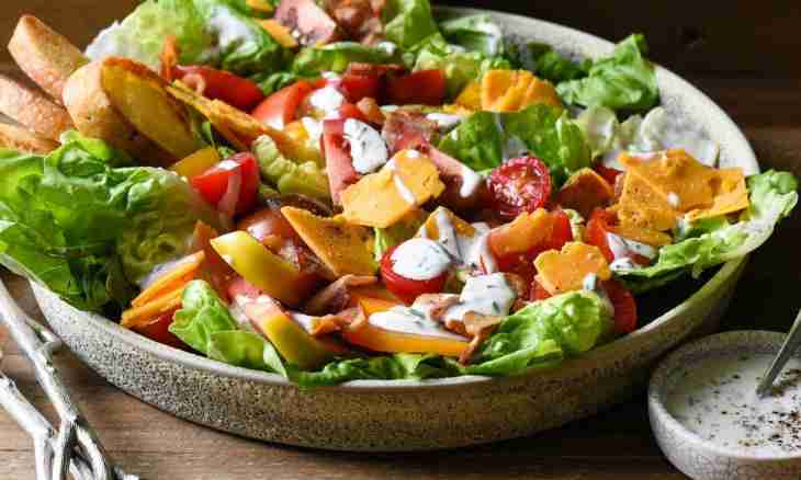 For fans of juicy snack: cheese salads