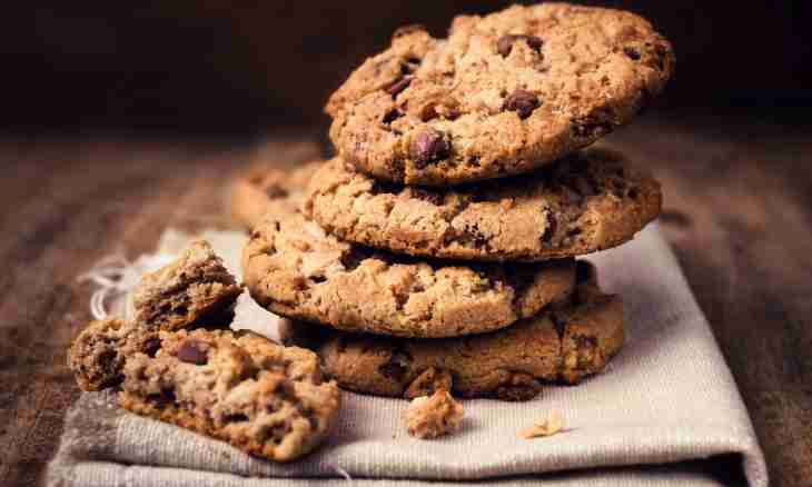 Recipes of quick cookies