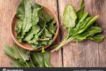What to prepare from a young sorrel
