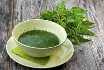 How to cook green borsch with a nettle and greens