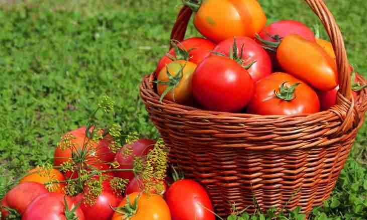 Tomato baskets