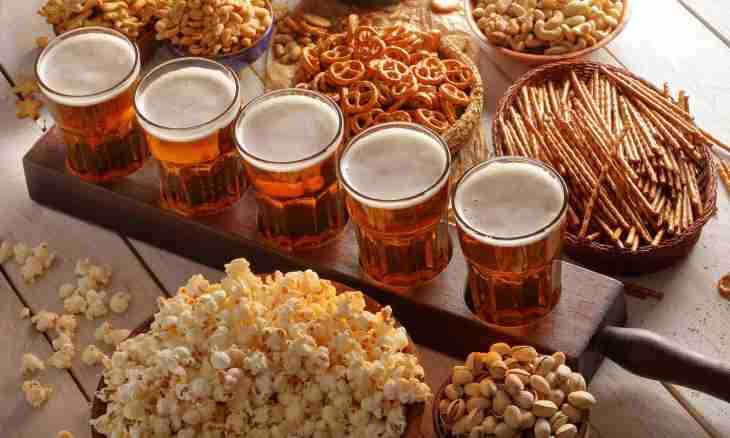What to make snack for beer in house conditions