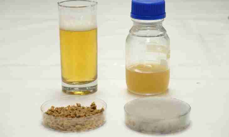 How to make a beer yeast