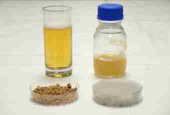 How to make a beer yeast