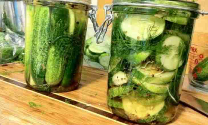 How to pickle svinukh for the winter