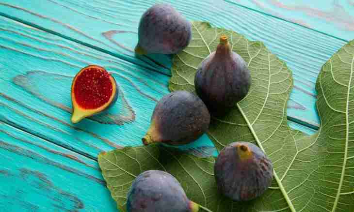 How to prepare a fig