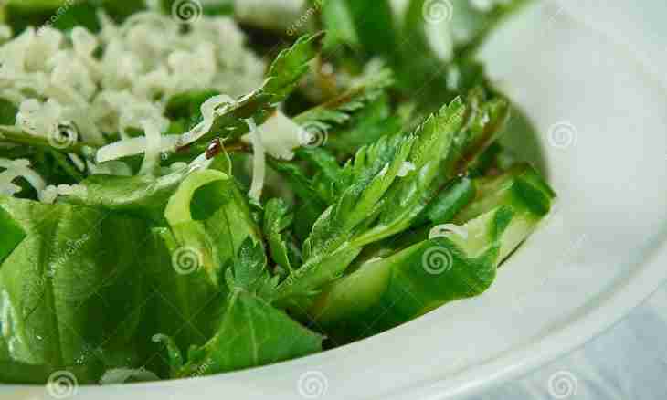Mint nettle salad