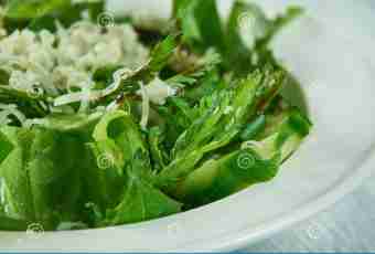Mint nettle salad