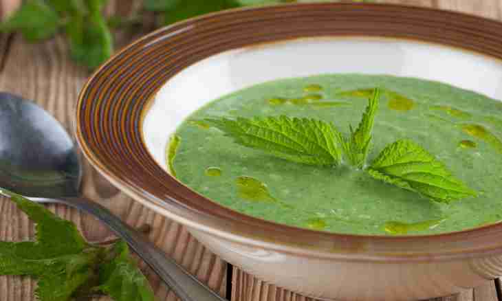 How to cook nettle soup