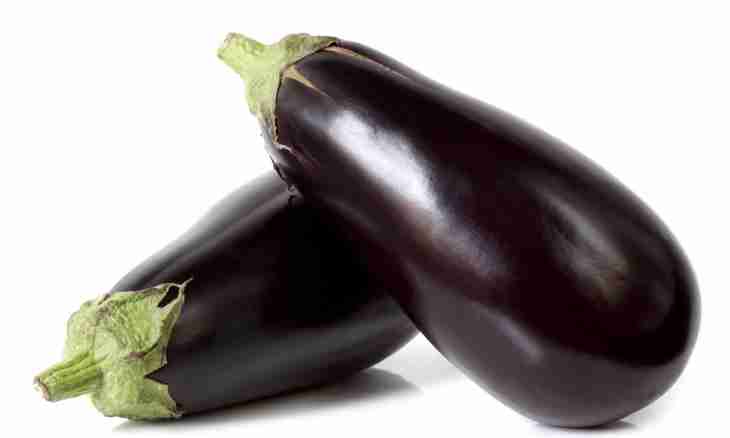 Eggplants with forcemeat and vegetables